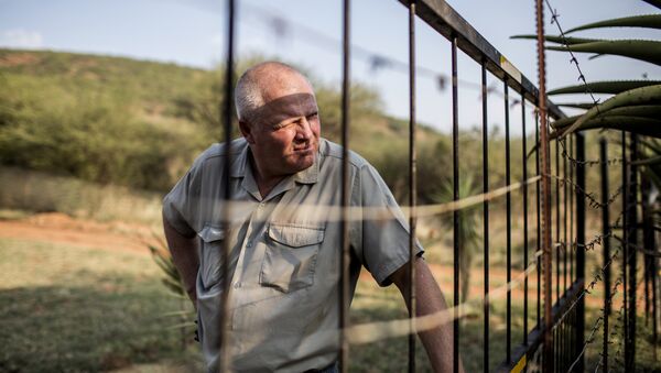 Piet Swanepoel looks through the boundary fence at his guest lodge on a farm in Limpopo province, South Africa, on October 31, 2017 - Sputnik International