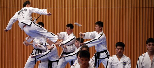 Taekwondo Performance - Sputnik International