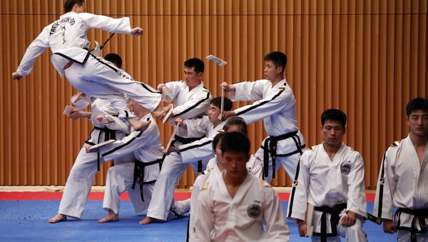 Taekwondo Performance - Sputnik International