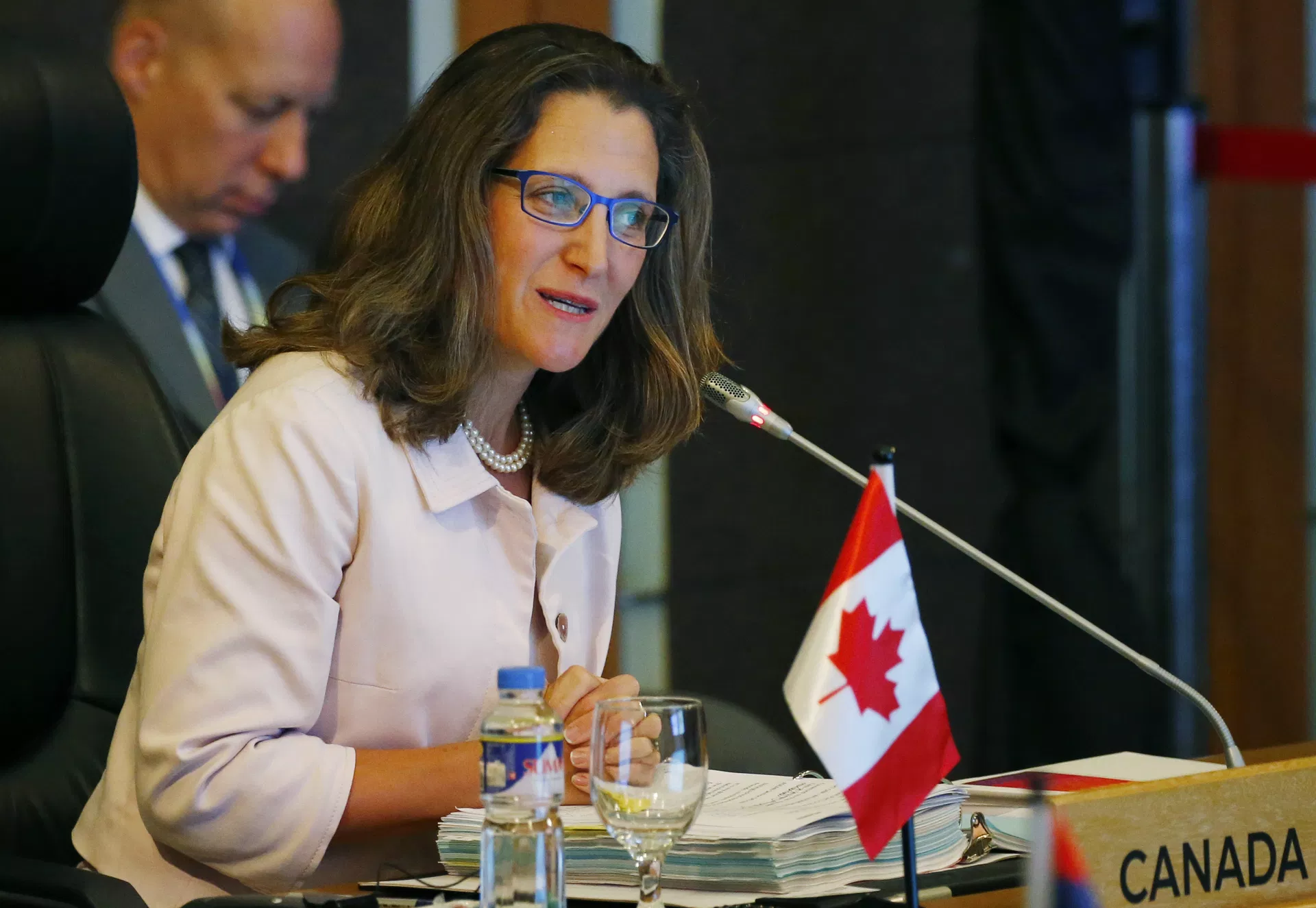 Canadian Foreign Minister Chrystia Freeland Canadian Foreign Minister Chrystia Freeland - Sputnik International, 1920, 15.06.2023