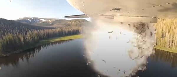 Fish dropped in the high-mountain lakes of Utah Fish dropped in the high-mountain lakes of Utah - Sputnik International