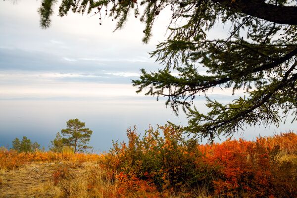 Magical Blue Eye of Siberia: Changing Seasons on Lake Baikal - Sputnik International