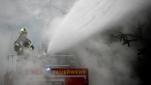 Firefighters help to put out a forest fire near Treuenbrietzen, Germany August 24, 2018. - Sputnik International