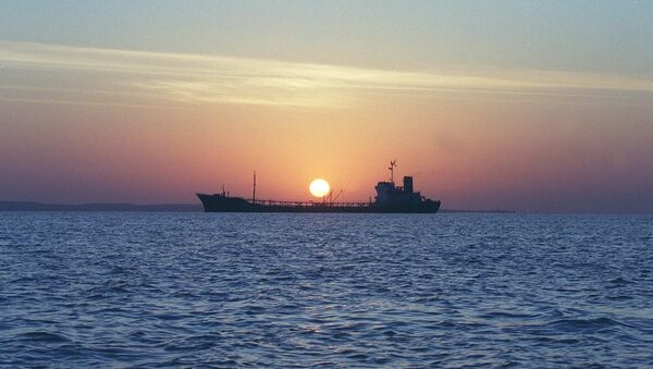 An Iranian water storage tanker sails off the coast of Qeshm Island 14 February 2001 in the Strait of Hormuz, one of the world's most important waterways (File) - Sputnik International