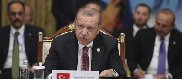 Turkish President Recep Tayyip Erdogan speaks during the during the Summit of The Cooperation Council of Turkish-Speaking States in Cholpon-Ata, Kyrgyzstan, Monday, Sept. 3, 2018 Turkish President Recep Tayyip Erdogan speaks during the during the Summit of The Cooperation Council of Turkish-Speaking States in Cholpon-Ata, Kyrgyzstan, Monday, Sept. 3, 2018 - Sputnik International