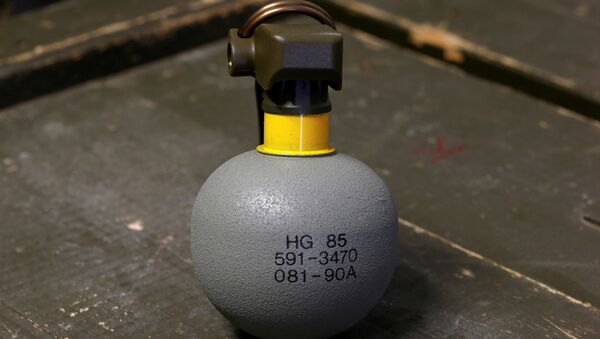 A HG 85 hand grenade is displayed at the Waffenplatz Zuerich-Reppischtal base of the Swiss Army in Birmensdorf, Switzerland January 19, 2017 - Sputnik International