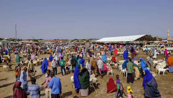 A general view of the livestock market in Hargeisa, Somaliland, on August 18, 2018 - Sputnik International