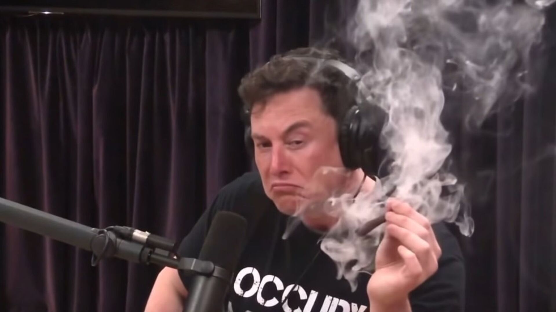 Elon Musk smokes a blunt with Joe Rogan - Sputnik International, 1920, 05.08.2022