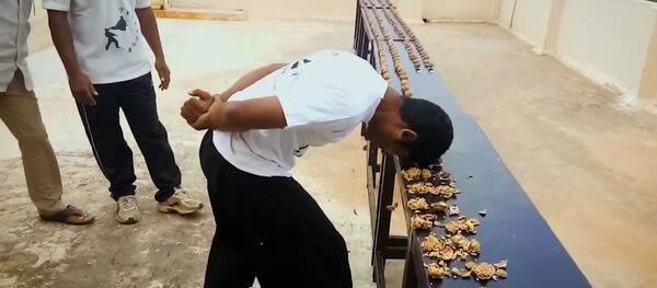 Most walnuts cracked against the head in one minute - Guinness World Records Most walnuts cracked against the head in one minute - Guinness World Records - Sputnik International
