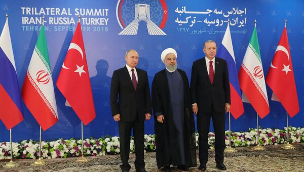 Russian President Vladimir Putin, Turkish President Recep Erdogan and Iran's President Hassan Rouhani are expected to discuss trilateral ties as well as the recent development of the situation in Syria. - Sputnik International