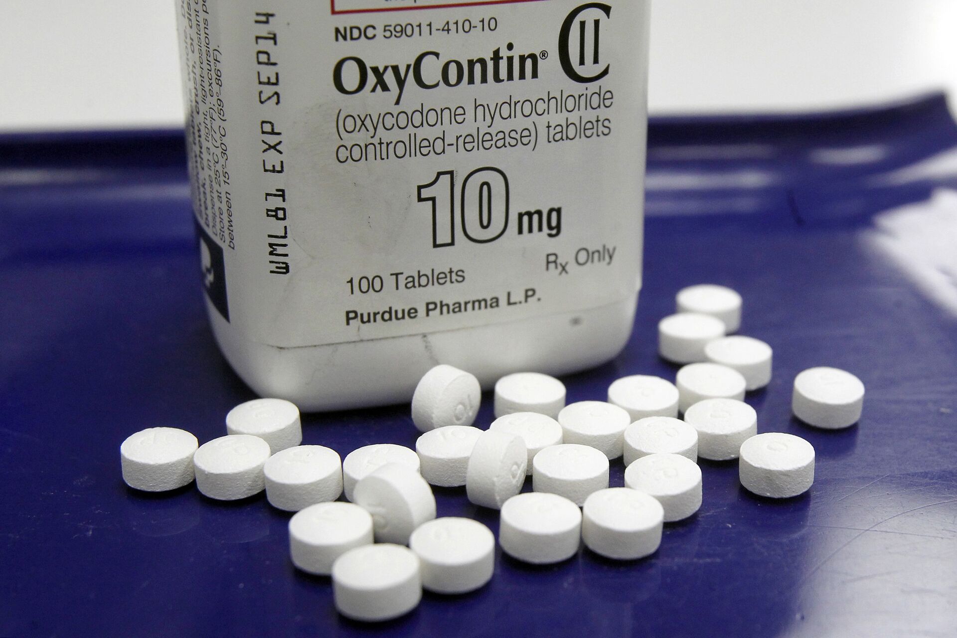 OxyContin pills arranged for a photo at a pharmacy. - Sputnik International, 1920, 30.12.2021
