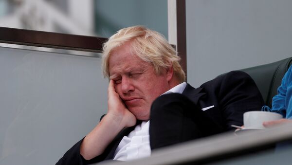 Britain's former Foreign Secretary Boris Johnson takes a nap whilst watching the England cricket team play India at The Oval cricket ground in London - Sputnik International