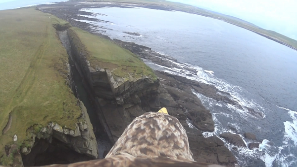 Bird’s Eye View: Eagle Presents Tour of Scotland’s Orkney - Sputnik International
