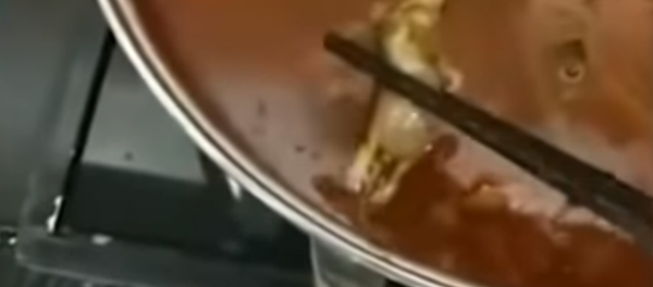Chinese restaurant gets shut down after pregnant woman finds dead rat in soup - Sputnik International