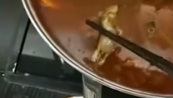 Chinese restaurant gets shut down after pregnant woman finds dead rat in soup - Sputnik International