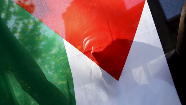 Demonstrators Hold Pro-Palestinian Rally in Washington DC - Sputnik International