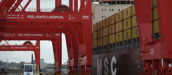 Containers are unloaded from a ship moored up in the new Peel Ports container terminal in Liverpool on November 4, 2016 - Sputnik International