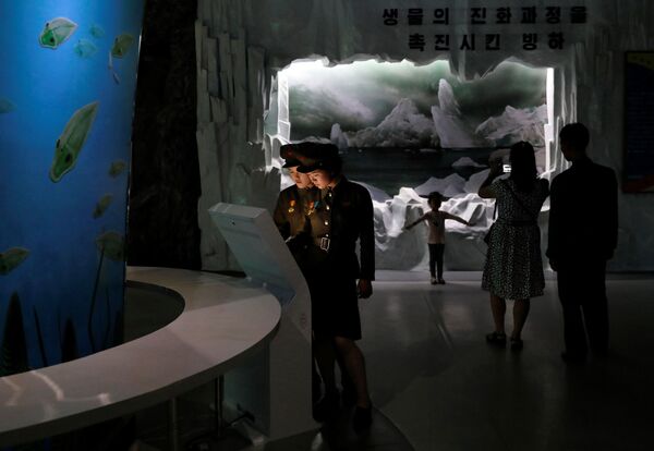 Entertainment, North Korean Style: The New Natural History Museum in Pyongyang - Sputnik International