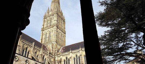 The view of Salisbury cathedral - Sputnik International