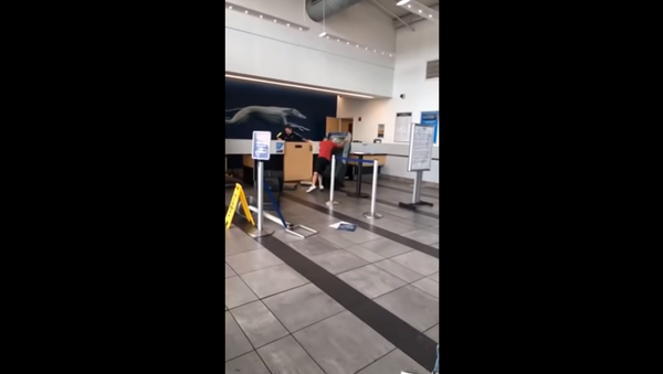 Tennessee man throws temper tantrum inside Greyhound bus station in Nashville, flips over kiosks and breaks windows - Sputnik International