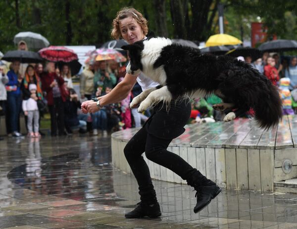 Pet Carnival: Moscow Holds First Parade of Dogs in Costumes Pet Carnival: Moscow Holds First Parade of Dogs in Costumes - Sputnik International