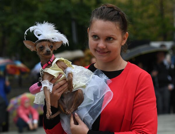 Pet Carnival: Moscow Holds First Parade of Dogs in Costumes Pet Carnival: Moscow Holds First Parade of Dogs in Costumes - Sputnik International