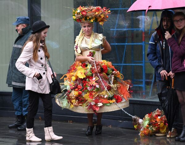 Pet Carnival: Moscow Holds First Parade of Dogs in Costumes Pet Carnival: Moscow Holds First Parade of Dogs in Costumes - Sputnik International