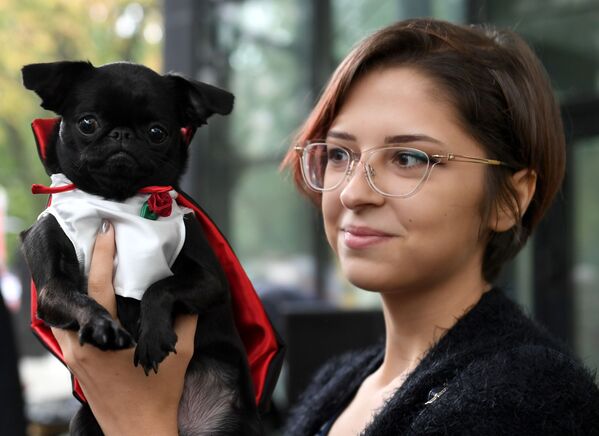 Pet Carnival: Moscow Holds First Parade of Dogs in Costumes Pet Carnival: Moscow Holds First Parade of Dogs in Costumes - Sputnik International