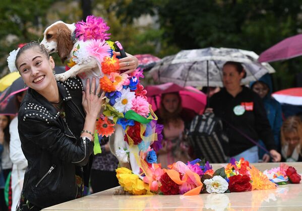 Pet Carnival: Moscow Holds First Parade of Dogs in Costumes Pet Carnival: Moscow Holds First Parade of Dogs in Costumes - Sputnik International