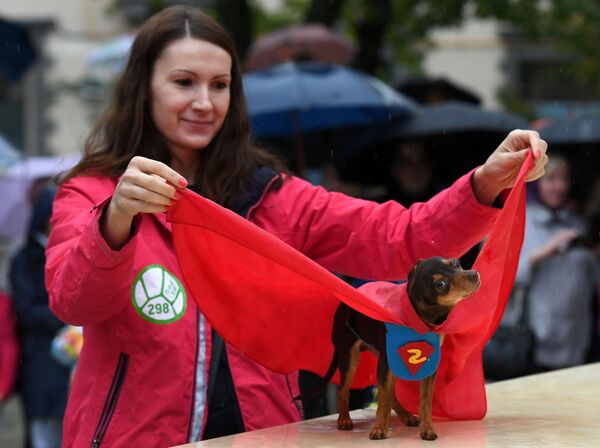 Pet Carnival: Moscow Holds First Parade of Dogs in Costumes Pet Carnival: Moscow Holds First Parade of Dogs in Costumes - Sputnik International