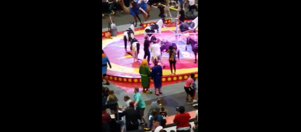 Camel at Syria Shrine Circus performance sends multiple people to hospital with injuries after bucking around the arena - Sputnik International