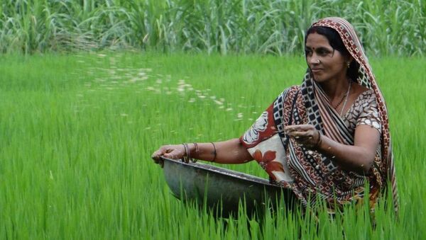 Women Farmers of India Striving To Overcome an Era of Marginalization - Sputnik International
