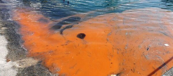 Red Tide Red Tide - Sputnik International