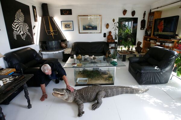 Cold-Blooded Tenants: A French Man Who Owns 400 Reptiles - Sputnik International