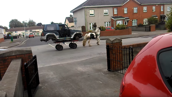Pimp My Carriage? Reimagined Horse-Drawn Wagon Stuns Dublin Residents - Sputnik International