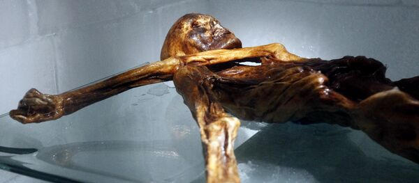 The mummy of an iceman named Otzi, discovered on 1991 in the Italian Schnal Valley glacier, is displayed at the Archaeological Museum of Bolzano on February 28, 2011 during an official presentation of the reconstrution - Sputnik International