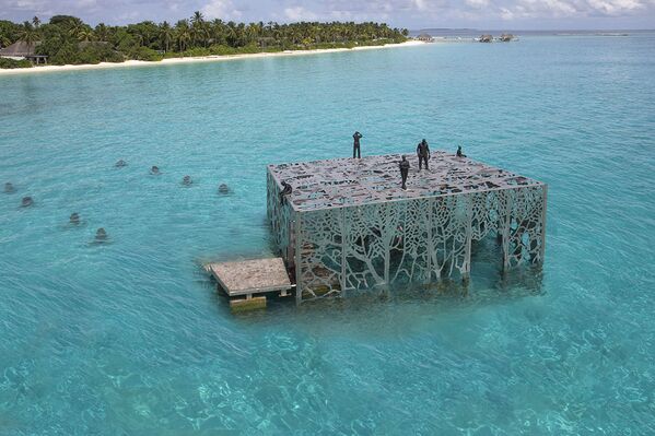 Underwater Series of Sculptures Colarium by Jason deCaires Taylor's in Maldives - Sputnik International