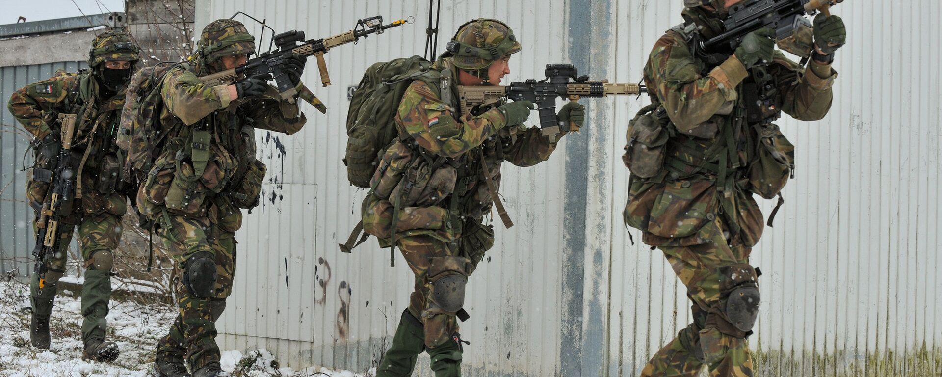 Dutch Army at Allied Spirit I - Sputnik International, 1920, 02.02.2026