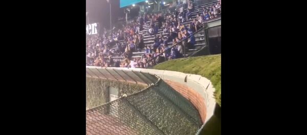 Rat jump - Sputnik International