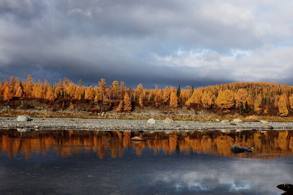 Code Red: Breathtaking Views of Autumn in Russia - Sputnik International