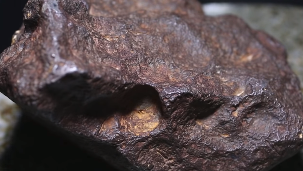 A 22-pound iron meteorite found in central Michigan that may be worth $100,000 - Sputnik International