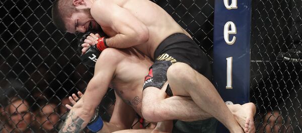 Khabib Nurmagomedov, top, applies a rear naked choke hold to Conor McGregor during a lightweight title mixed martial arts bout at UFC 229 in Las Vegas, Saturday, Oct. 6, 2018 Khabib Nurmagomedov, top, applies a rear naked choke hold to Conor McGregor during a lightweight title mixed martial arts bout at UFC 229 in Las Vegas, Saturday, Oct. 6, 2018 - Sputnik International