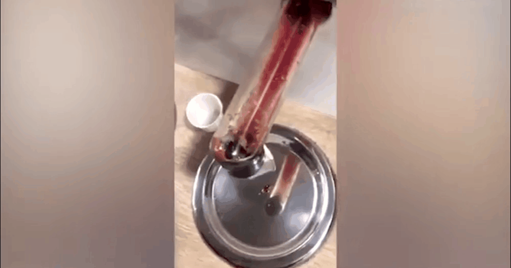 Maggots in McDonald's ketchup tube Maggots in McDonald's ketchup tube - Sputnik International