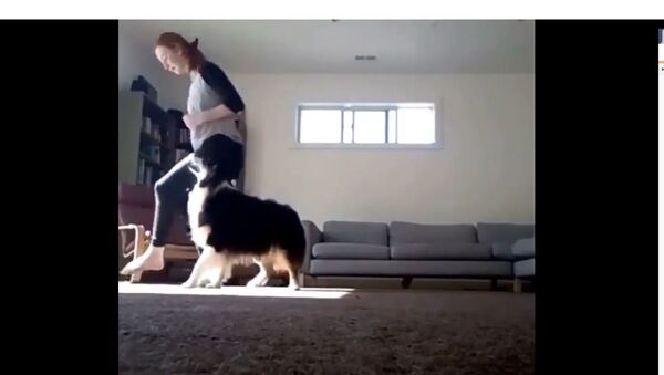 Girl and Her Dog Show Off Their Moves - Sputnik International