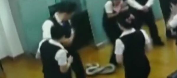 python python - Sputnik International