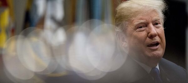 President Donald Trump - Sputnik International