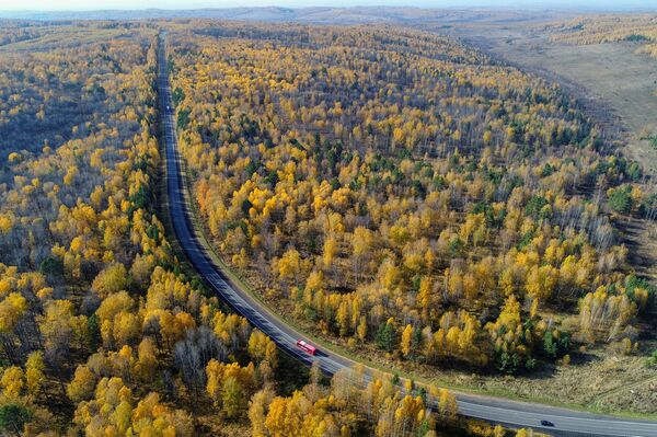 Highway Across Siberian Taiga - Sputnik International
