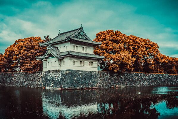 Tokyo Imperial Palace in Autumn Glory - Sputnik International