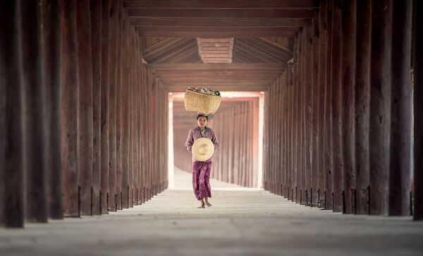 Asian Girl Carrying During Harvesting - Sputnik International
