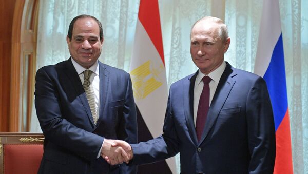 Russian President Vladimir Putin during a meeting with Egyptian President Abdel Fattah al-Sisi - Sputnik International